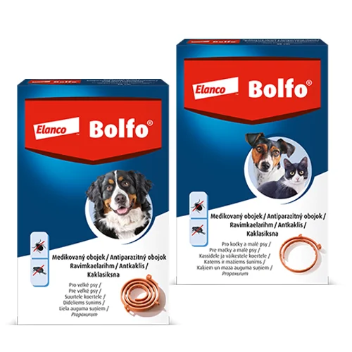 Bolfo obojek pro kočky a malé psy 38 cm – antiparazitní obojek proti klíšťatům a blechám