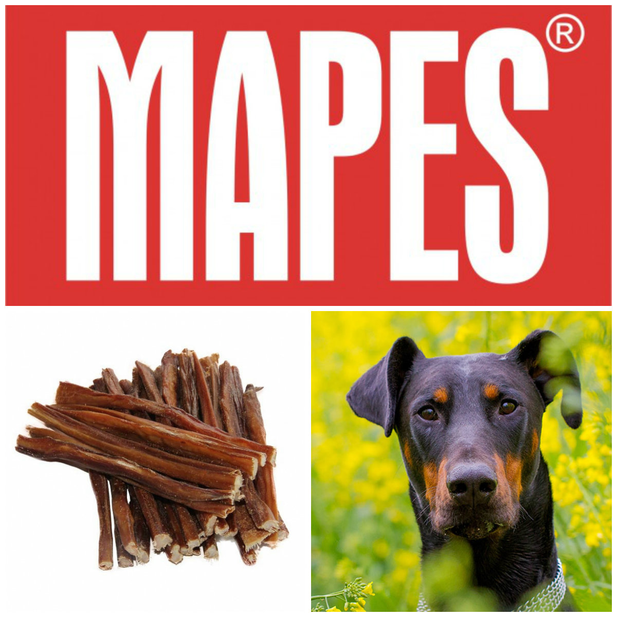 Mapes Střívka 50ks