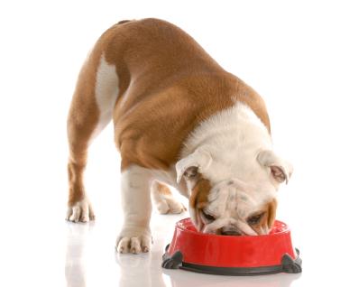 Plaisir dog vanička kuře se zeleninou 300g