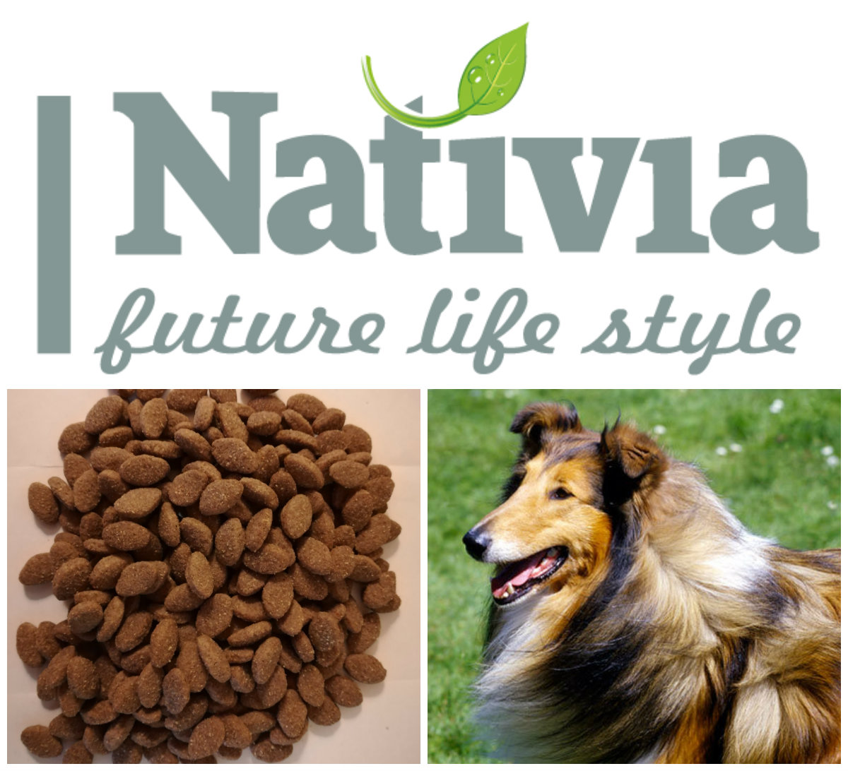 Nativia Adult Lamb&Rice 3kg