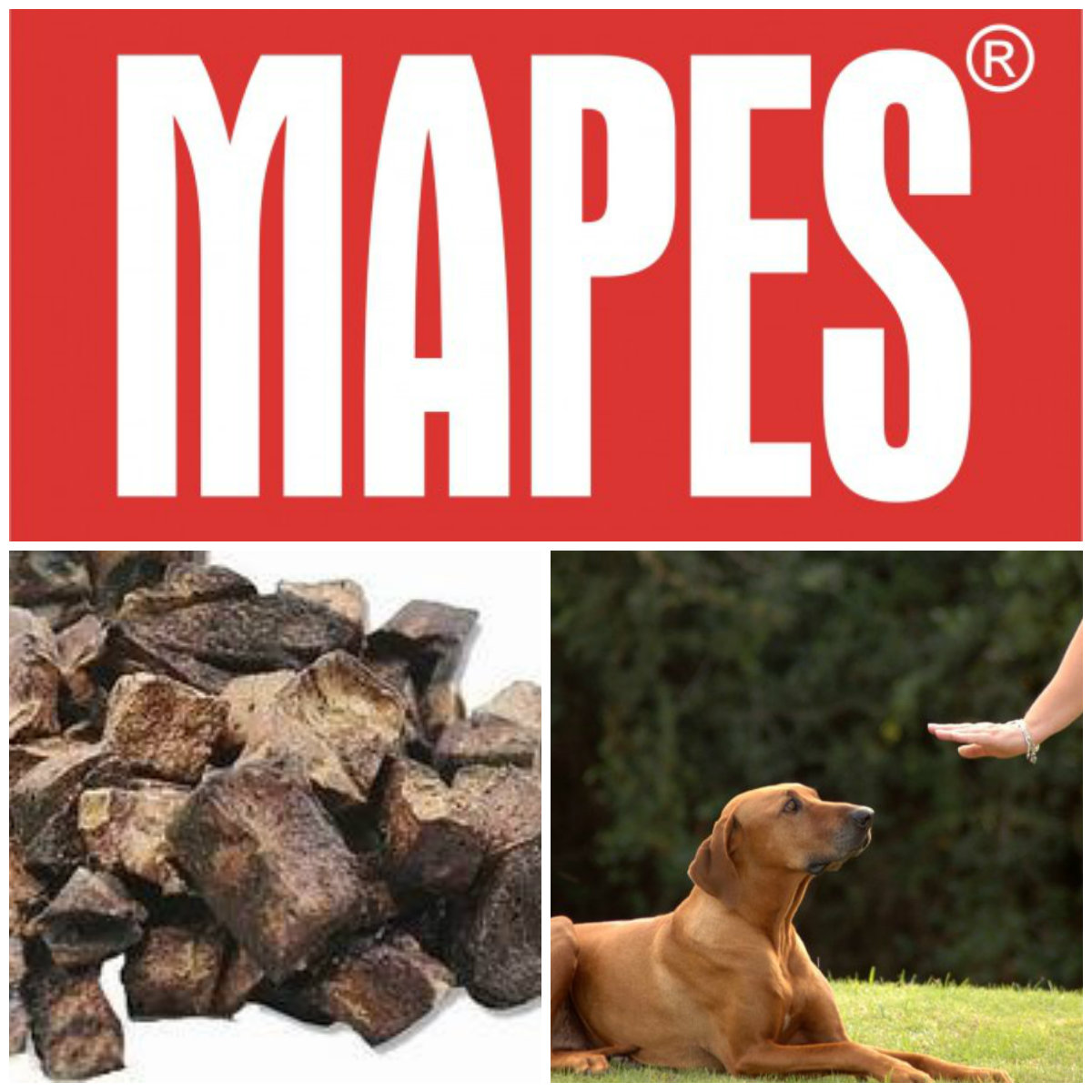 Mapes "Zdravá odměna" Plíce 30g