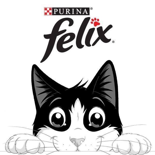Felix Sensations Krůta & Jehně 4x85g