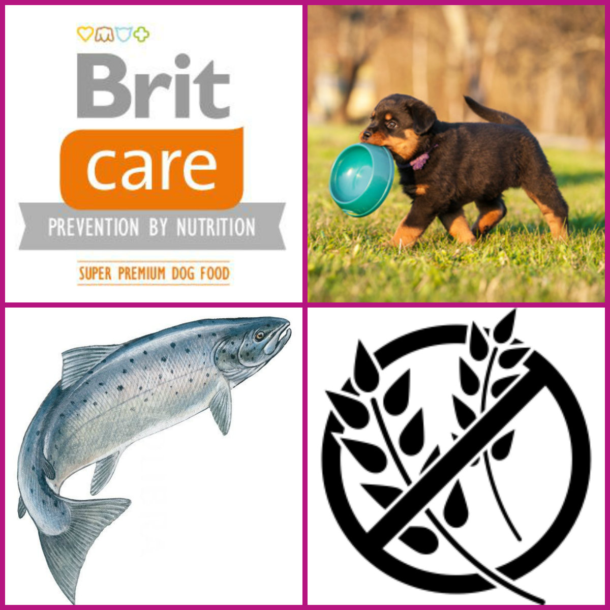 BRIT CARE Puppy Salmon Grain-free 3kg