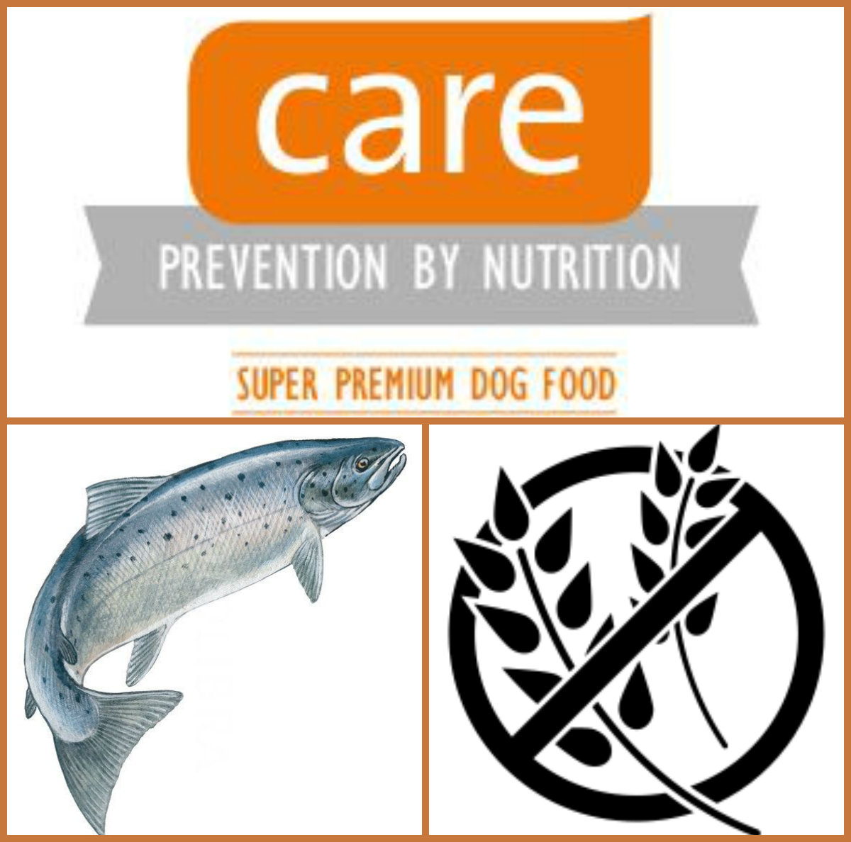 BRIT CARE Adult Salmon 3kg