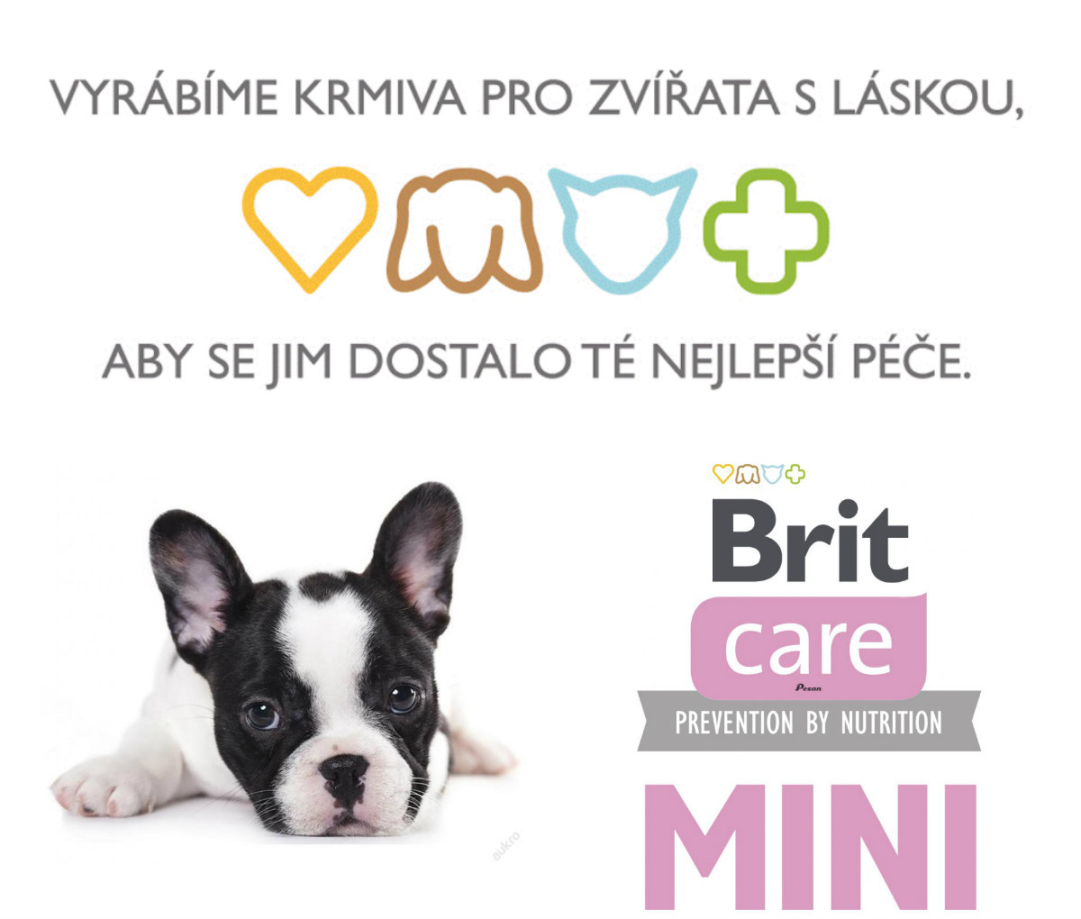 Brit Care MINI dog grain-free Adult Lamb 400g