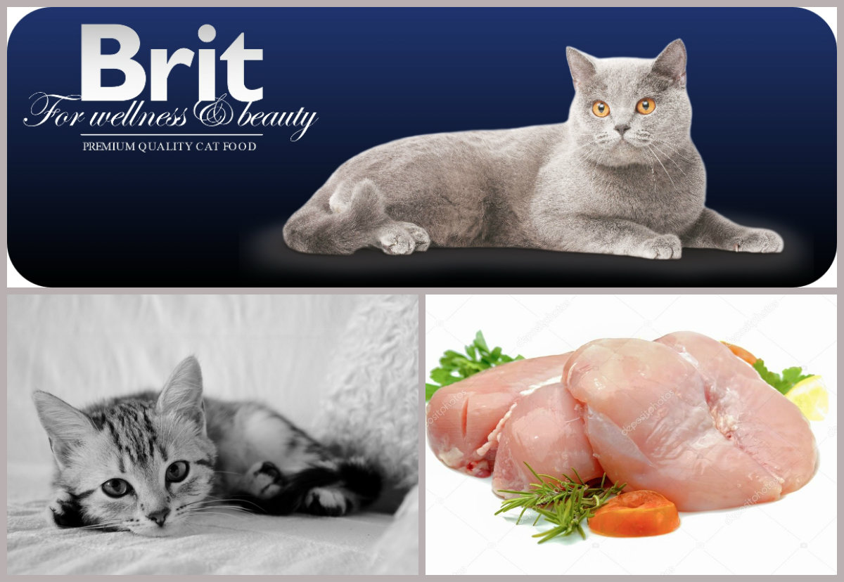 Brit Premium Cat Sterilised Chicken 800g