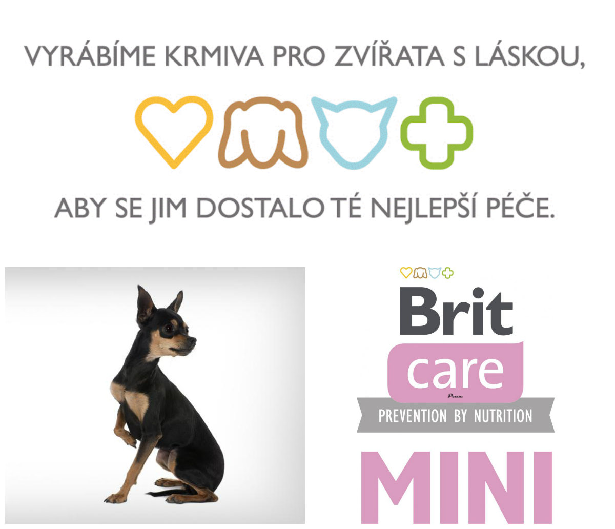 Brit Care MINI Dog Grain Free Puppy Lamb 2kg