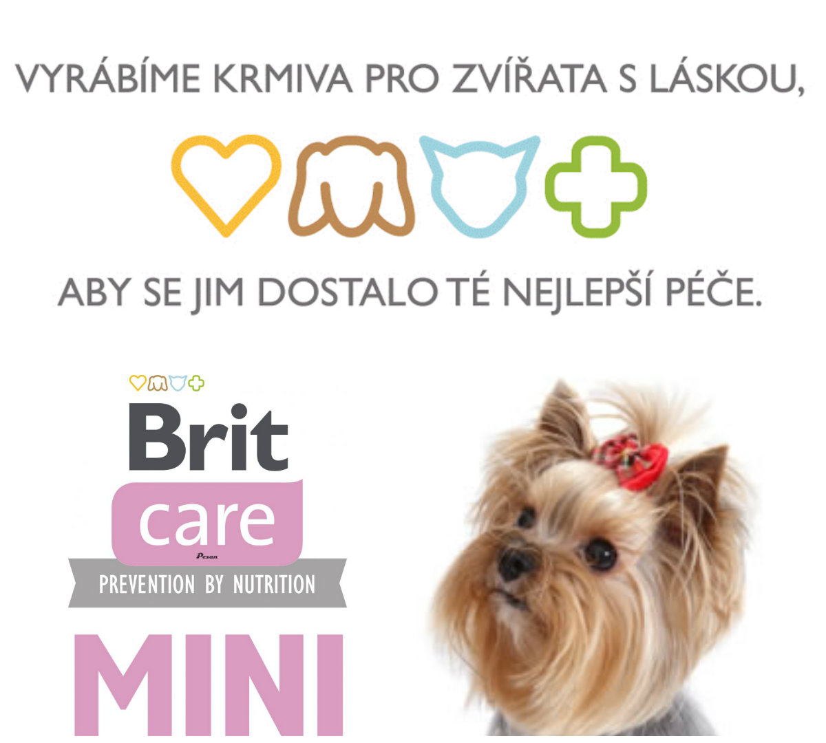 Brit Care MINI Dog Grain Free Hair & Skin 2kg
