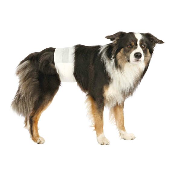 Papírové pleny pro psy L-XL 60-80cm(12ks/bal.)				