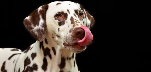 Kostičky masové poloměkké (250g)