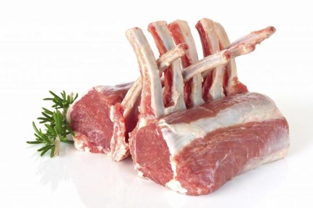 BRIT CARE Adult Large breed Lamb 12kg