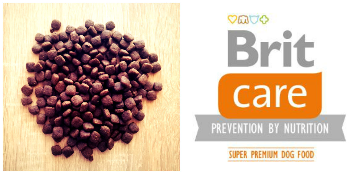 BRIT CARE Adult Salmon 3kg