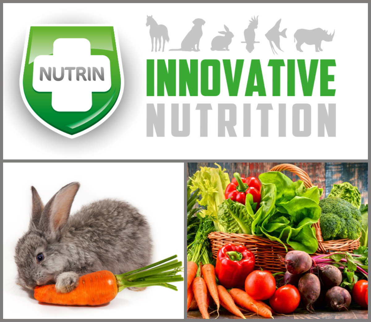 NUTRIN Complete Vegetable - Králík 400g