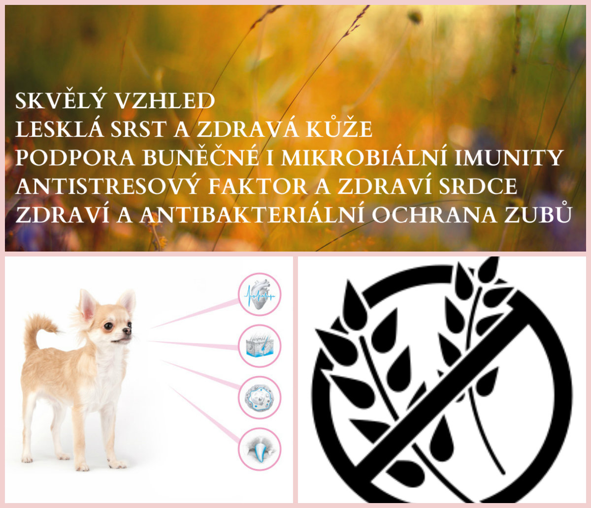 Brit Care MINI dog grain-free Yorkshire 2kg