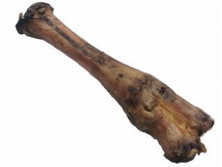 Hovězí kost sušená 1ks