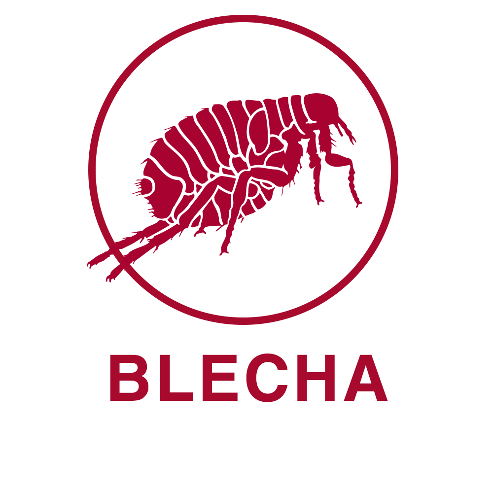 Blecha