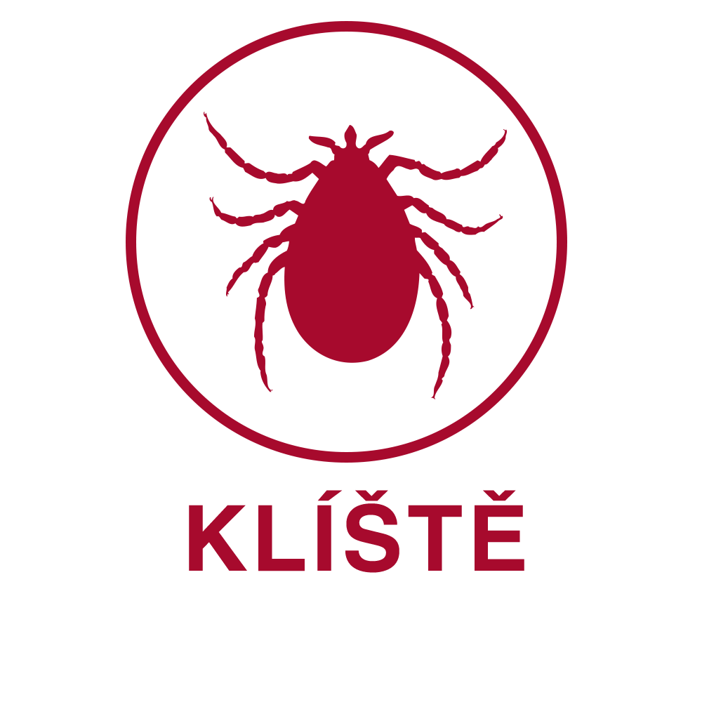 Klíště