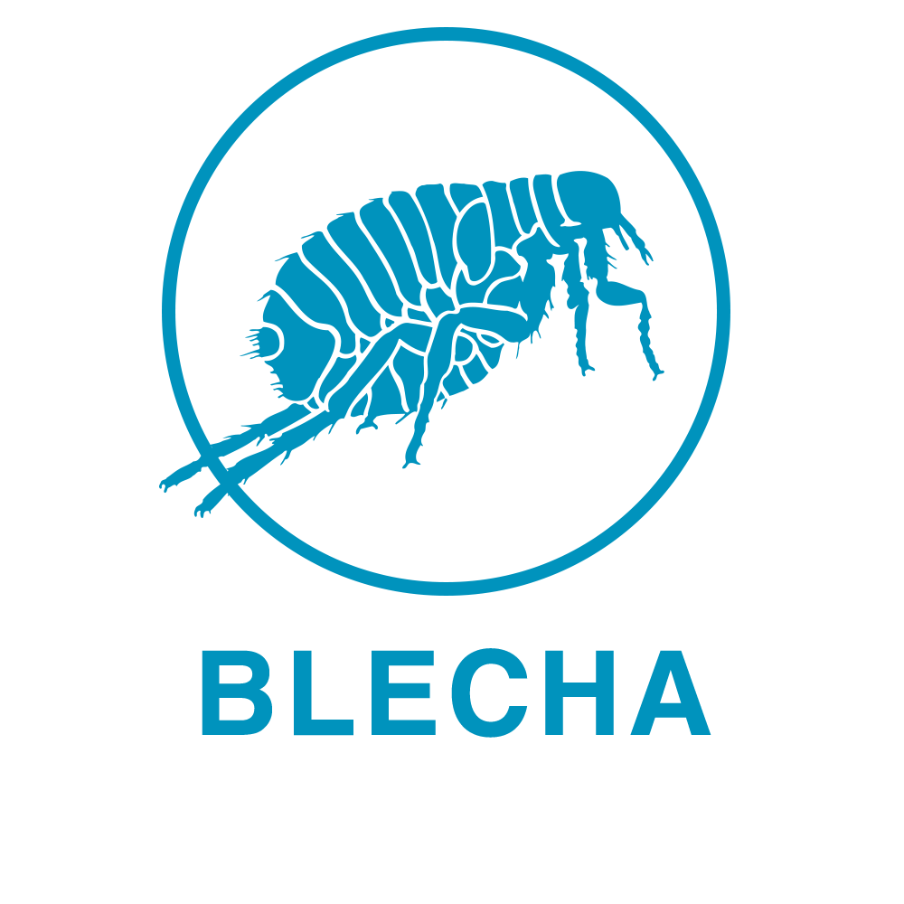Blecha Blecha