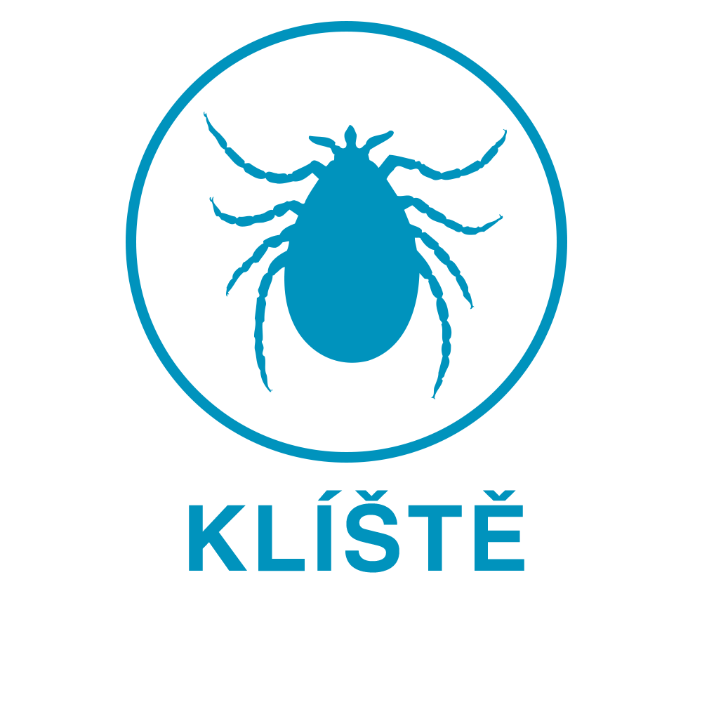 Klíště Klíště